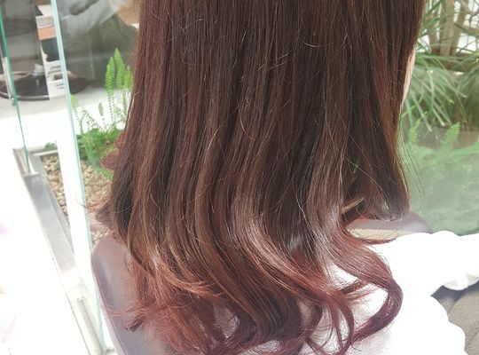 春グラデーション