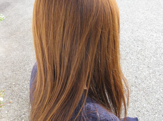 プロシードカラー