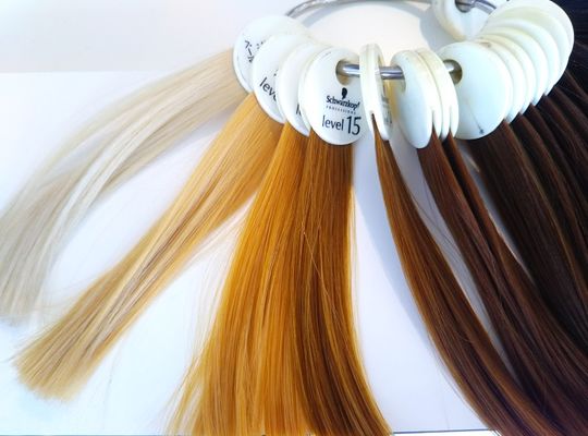 ハイトーンカラー